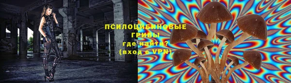бошки Вязьма