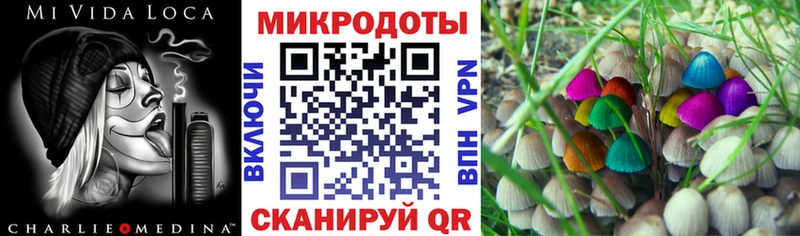 мориарти клад  купить   Жирновск  Галлюциногенные грибы мицелий 